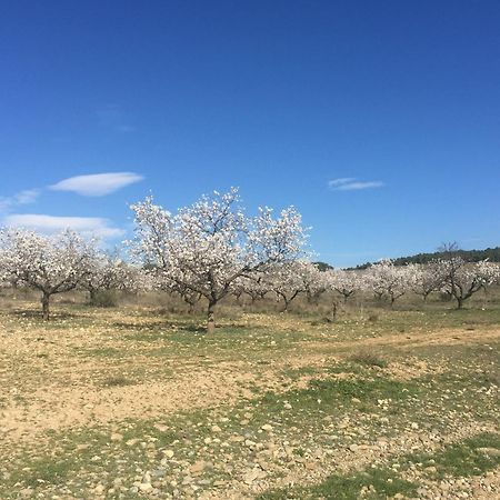 Alojamientos La Alberca Arguedas Dış mekan fotoğraf