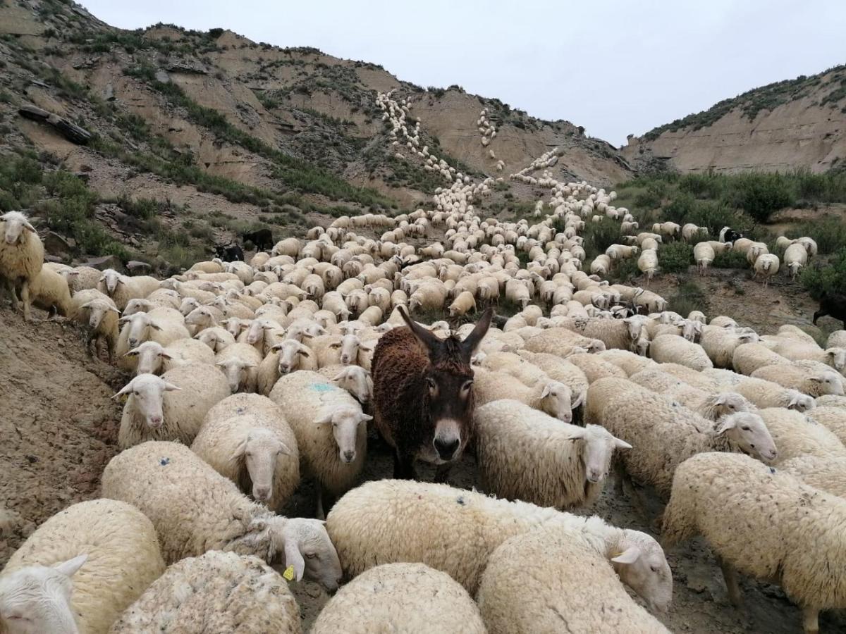 Alojamientos La Alberca Arguedas Dış mekan fotoğraf