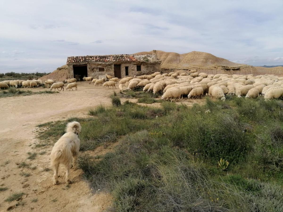 Alojamientos La Alberca Arguedas Dış mekan fotoğraf
