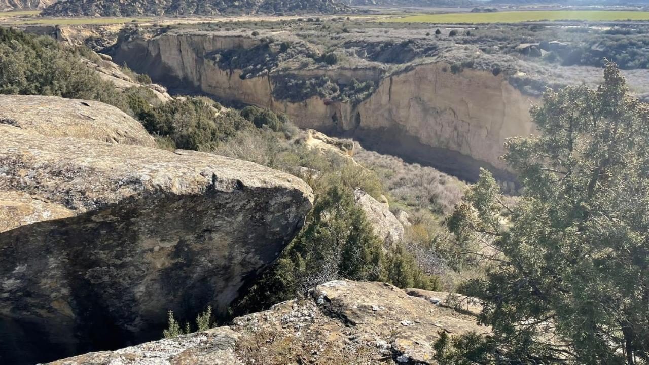 Alojamientos La Alberca Arguedas Dış mekan fotoğraf